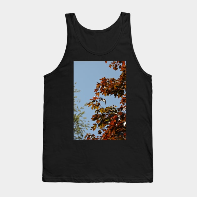 Autumnal Tank Top by tessiaphoto